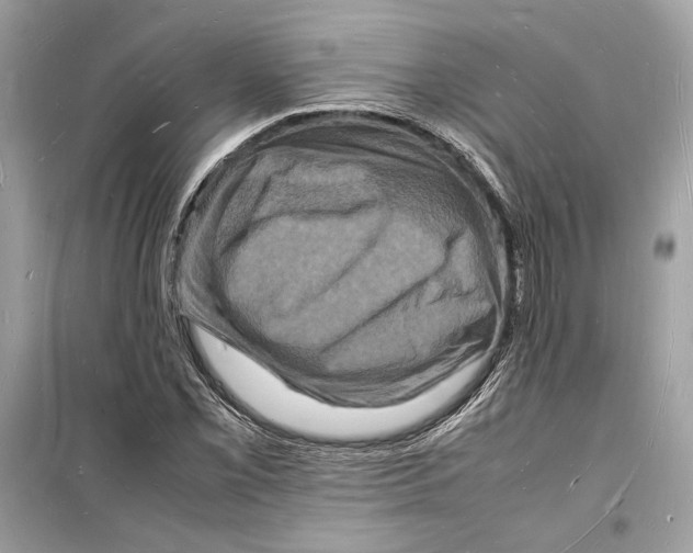 X0000098181069200805221532