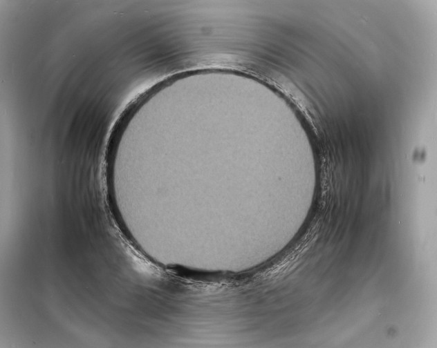 X0000098181072200805221532