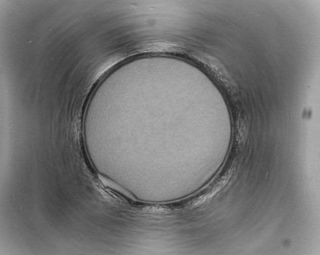 X0000098181073200805221532