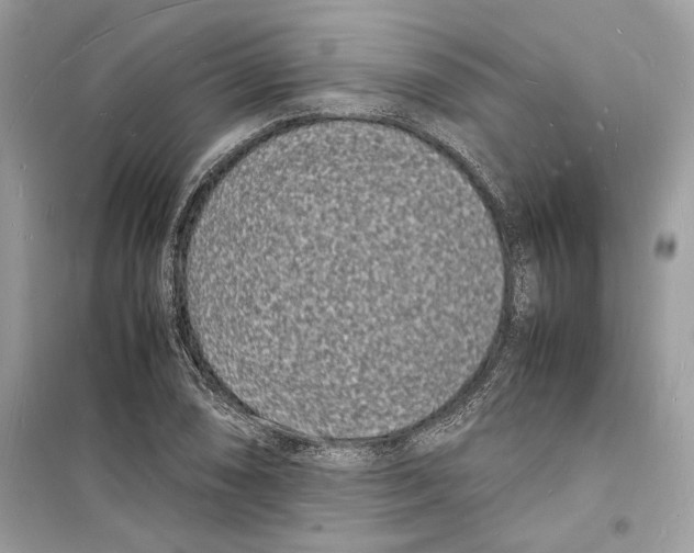 X0000098181074200805221532