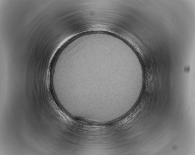 X0000098181076200805221532