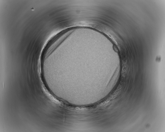 X0000098181080200805221532