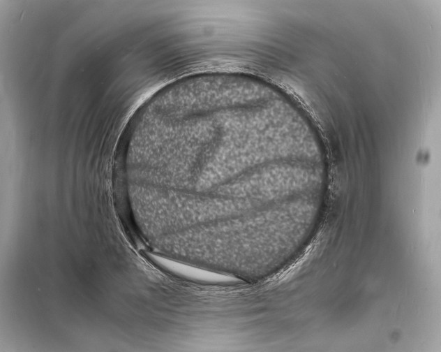 X0000098181081200805221532