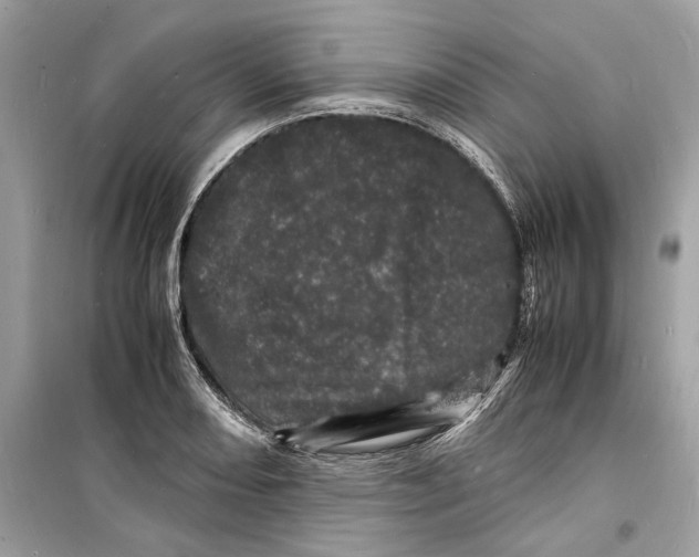 X0000098181082200805221532