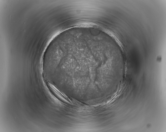 X0000098181083200805221532