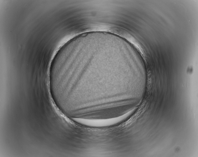 X0000098181088200805221532