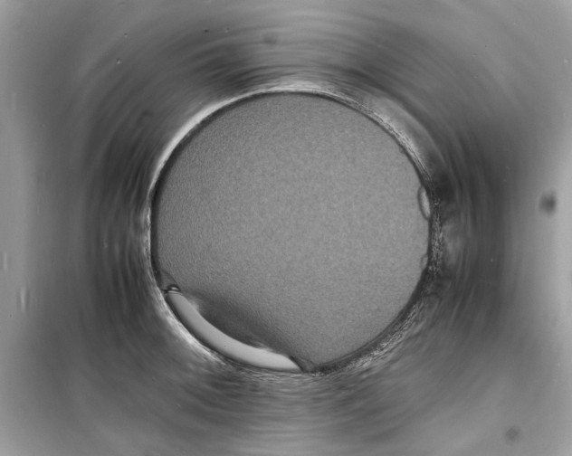 X0000098181092200805221532