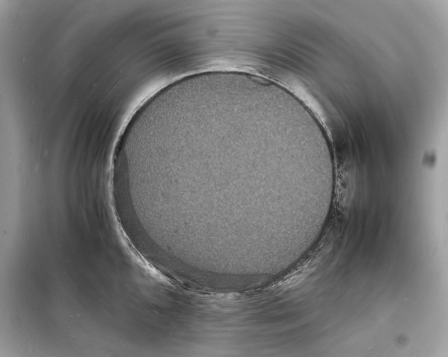 X0000098181096200805221532