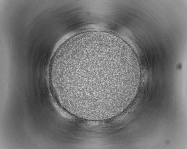 X0000098181098200805221532