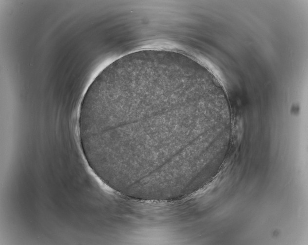 X0000098181103200805221532