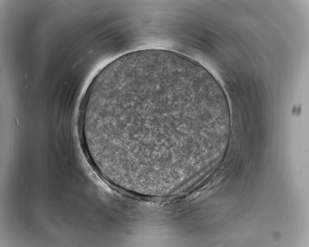 X0000098181104200805221532