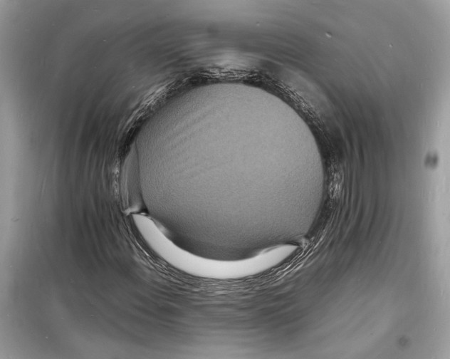 X0000098181108200805221531