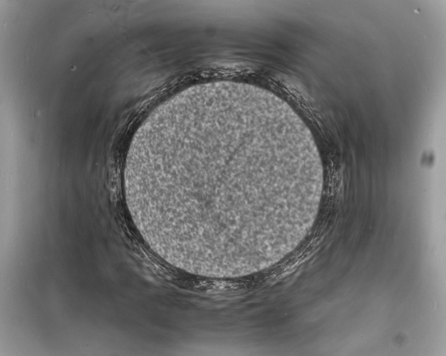 X0000098181109200805221531