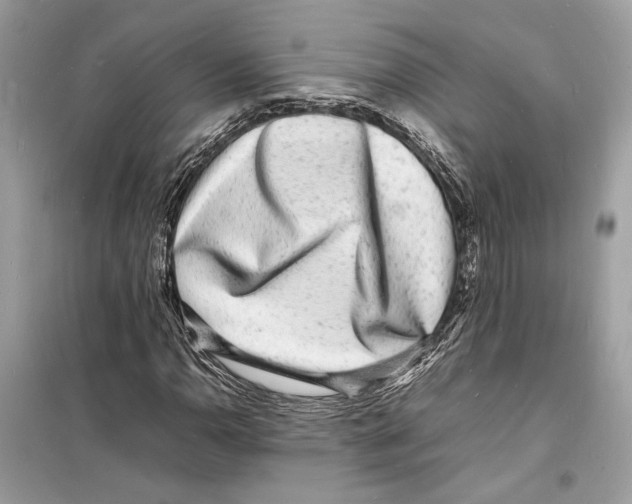 X0000098181110200805221531