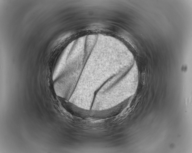 X0000098181111200805221531