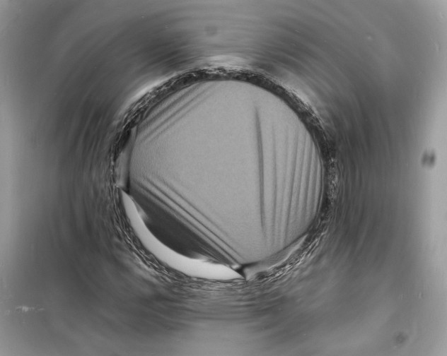 X0000098181112200805221531