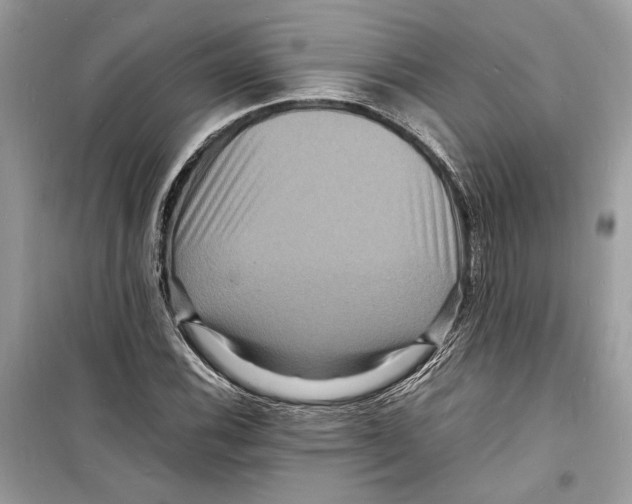 X0000098181116200805221531