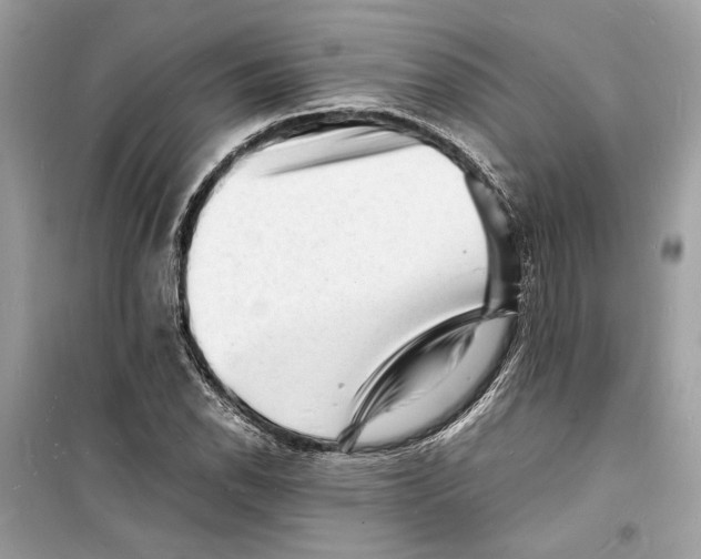 X0000098181118200805221531