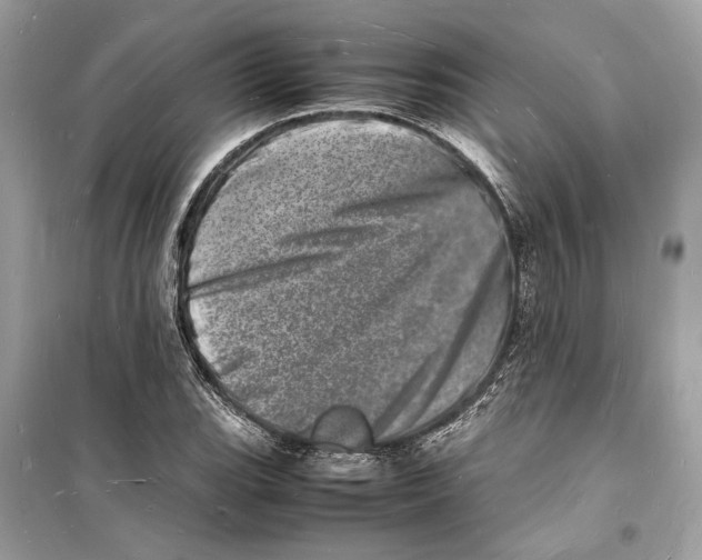 X0000098181119200805221531