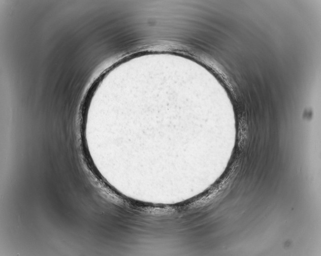 X0000098181122200805221531