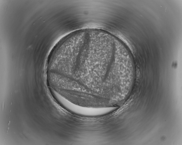 X0000098181124200805221531