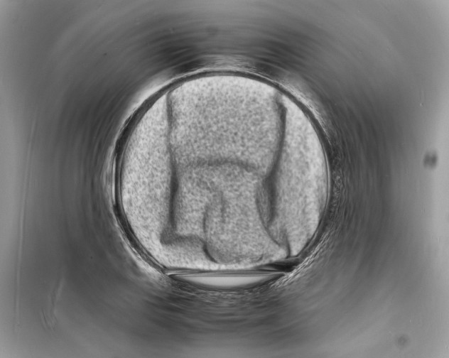 X0000098181127200805221531