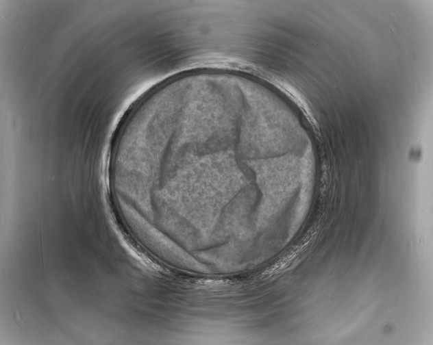 X0000098181128200805221531