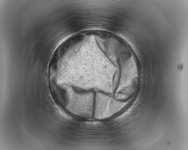 X0000098181129200805221531