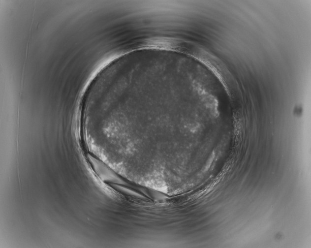 X0000098181131200805221531