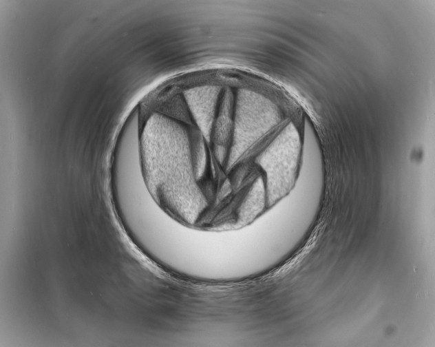 X0000098181134200805221531