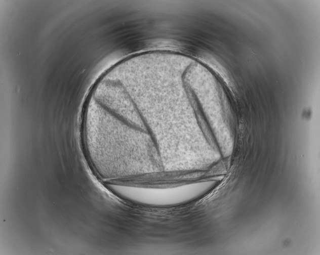 X0000098181135200805221531