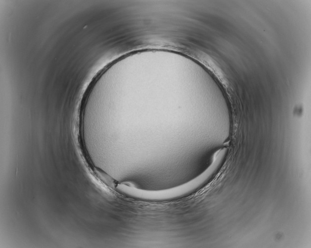 X0000098181136200805221531