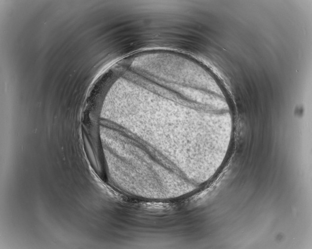 X0000098181137200805221531