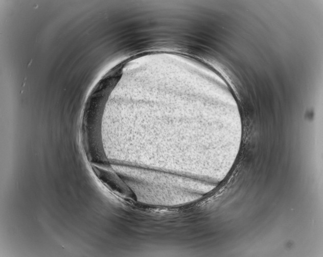 X0000098181139200805221531