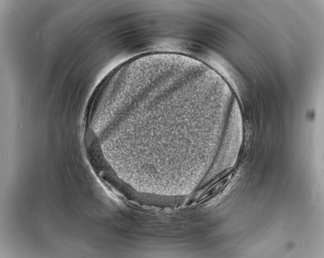 X0000098181141200805221531