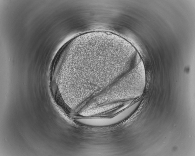 X0000098181142200805221531