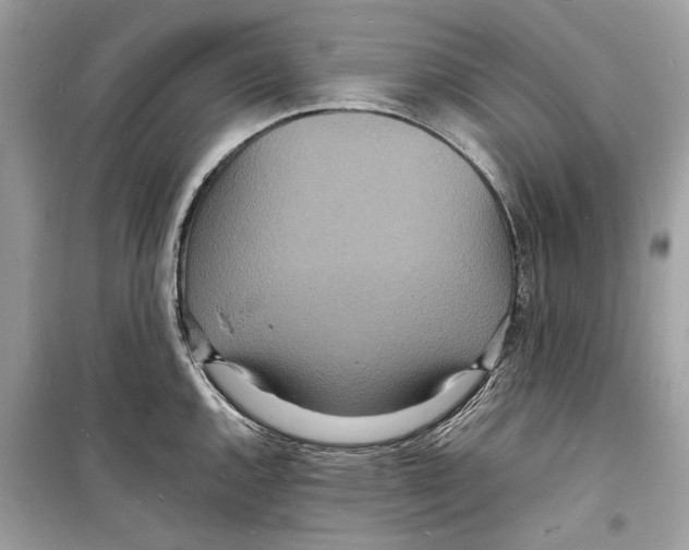 X0000098181144200805221531