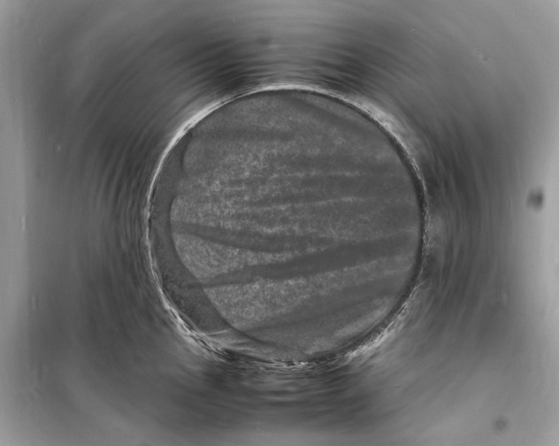 X0000098181145200805221532