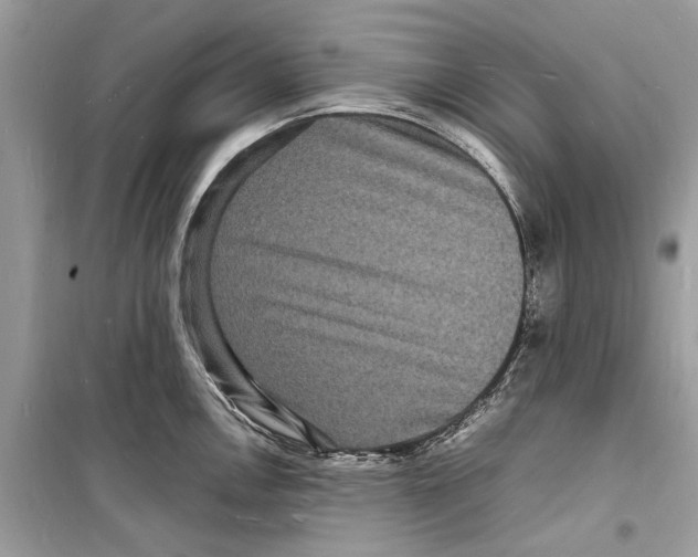 X0000098181146200805221532