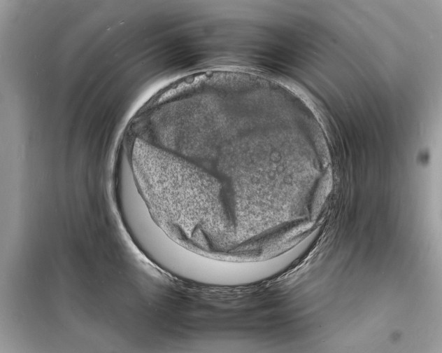 X0000098181147200805221532