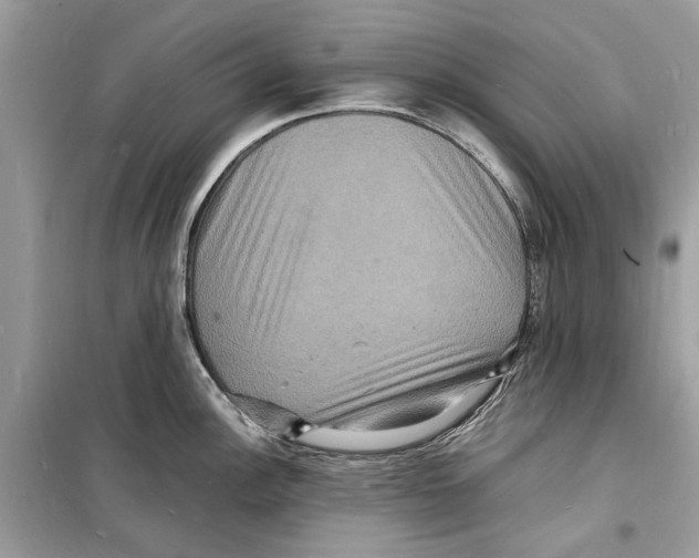 X0000098181148200805221532