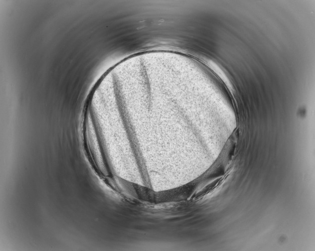 X0000098181149200805221532