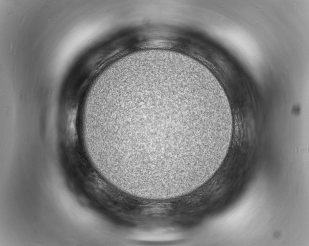 X0000098181150200805221532