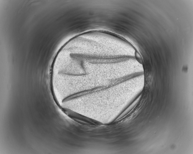 X0000098181151200805221532