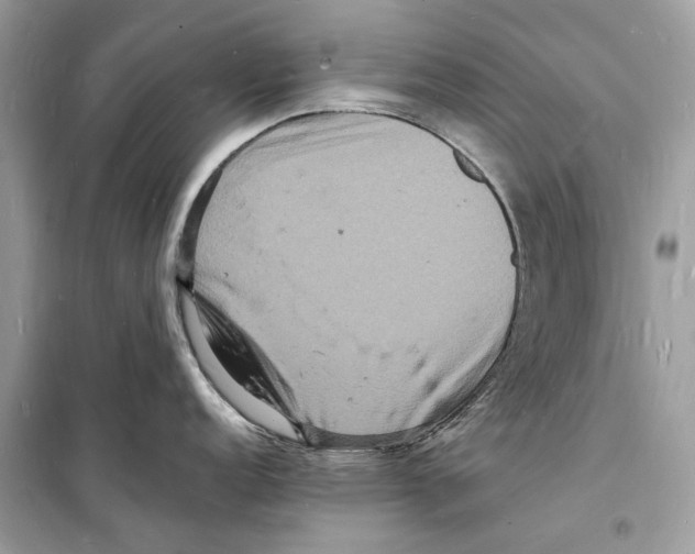 X0000098181152200805221532