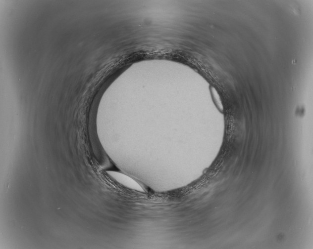 X0000098181153200805221531