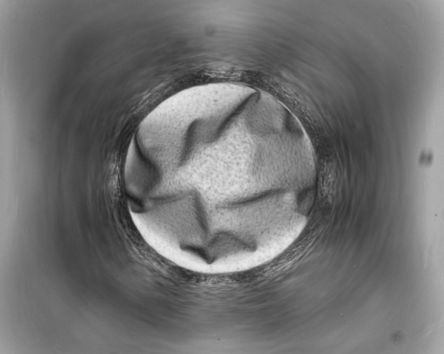 X0000098181154200805221531