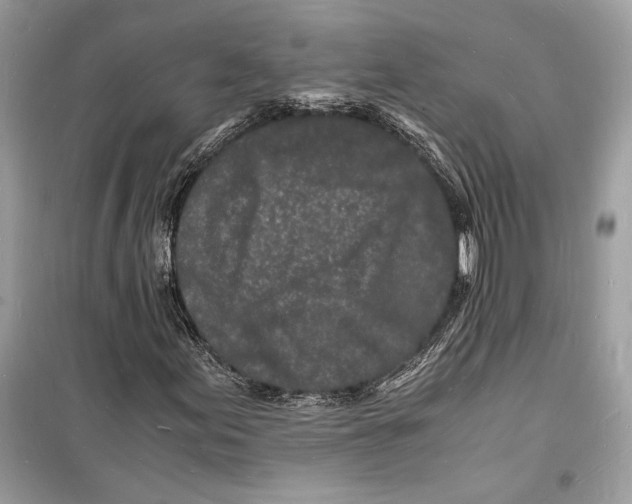 X0000098181155200805221531