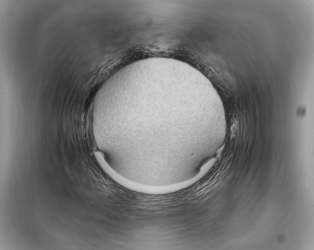 X0000098181156200805221531