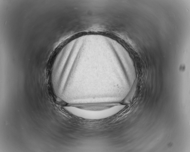 X0000098181160200805221531